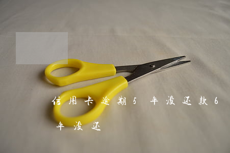 信用卡逾期5年没还款6千(欠信用卡5千3年没还)