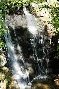 信用卡逾期5年消除嗎