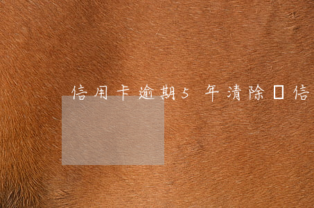 信用卡逾期5年清除嗎(信用卡逾期幾年消除)
