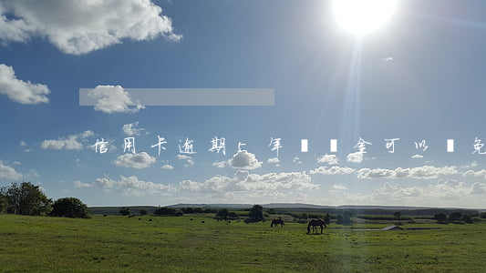 信用卡逾期5年滯納金可以減免嗎