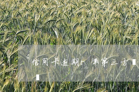 信用卡逾期5年第三方協(xié)商可靠嗎