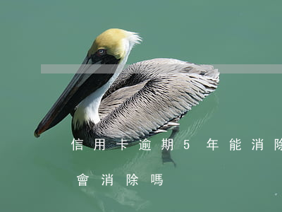 信用卡逾期5年能消除嗎(信用卡逾期5年后會消除嗎)