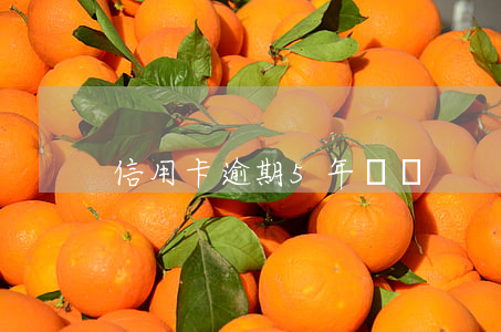信用卡逾期5年記錄