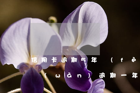 信用卡逾期5年費(fèi)用(欠信用卡5萬(wàn)逾期一年)