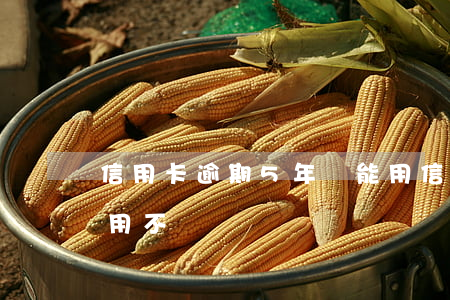 信用卡逾期5年還能用(信用卡逾期5年還能用不)