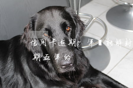 信用卡逾期5年還能解封嗎(有沒有信用卡逾期五年的)