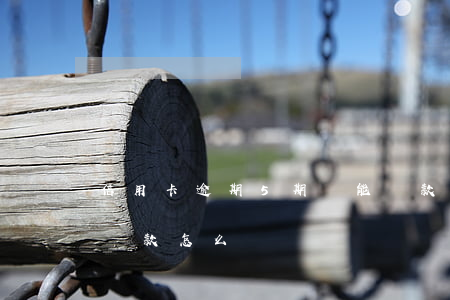 信用卡逾期5期還能貸款嗎(信用卡逾期五天還款怎么辦)