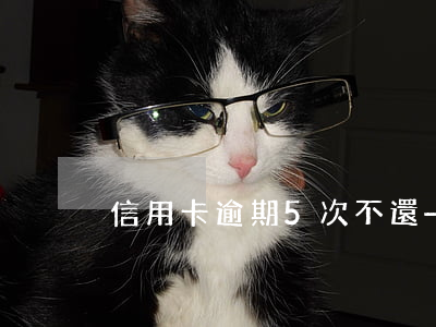 信用卡逾期5次不還-信用卡 逾期 一次