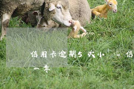 信用卡逾期5次小額-信用卡5千額度逾期一年