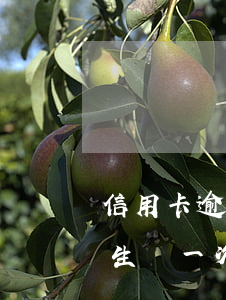 信用卡逾期5次影響貸款(信用卡發(fā)生過一次逾期,會(huì)影響申請(qǐng)房貸款嗎)