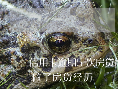 信用卡逾期5次房贷能批吗(6次信用卡逾期做了房贷经历)