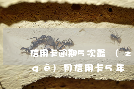 信用卡逾期5次最長(zhǎng)2個(gè)月 信用卡5年內(nèi)逾期40多次