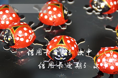 信用卡逾期5次申請(qǐng)了建行快貸 信用卡逾期5次申請(qǐng)了建行快貸還款