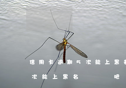 信用卡逾期5次能上黑名單嗎 信用卡逾期5次能上黑名單嗎貼吧
