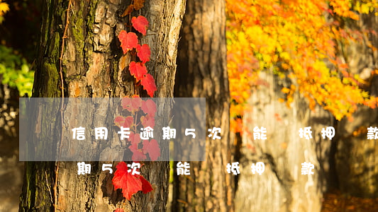 信用卡逾期5次還能辦抵押貸款-信用卡逾期5次還能辦抵押貸款嗎
