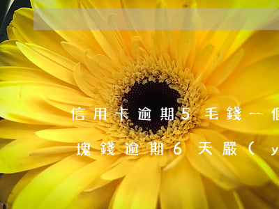 信用卡逾期5毛錢一個(gè)月(信用卡一塊錢逾期6天嚴(yán)重嗎)