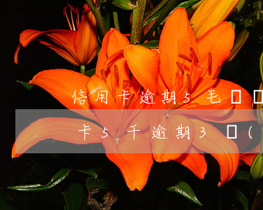 信用卡逾期5毛錢會(huì)怎么樣(信用卡5千逾期3個(gè)月會(huì)有什么后果?)