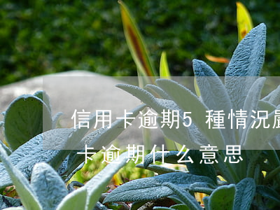 信用卡逾期5種情況嚴(yán)重嗎(信用卡 逾期 什么意思)