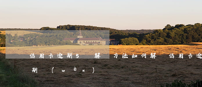 信用卡逾期5種解決方法(如何解決信用卡逾期問(wèn)題)
