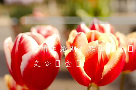 信用卡逾期5能公積金貸款么(征信逾期可以交公積金嗎)