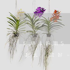信用卡逾期5萬(wàn)3個(gè)月怎么還款好-信用卡5萬(wàn)逾期3個(gè)月得還多少錢