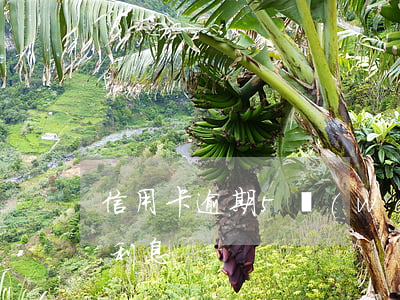 信用卡逾期5萬(wàn)三個(gè)月利息