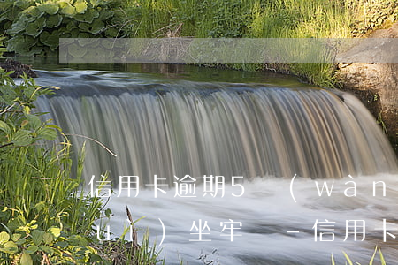 信用卡逾期5萬(wàn)以上一定會(huì)坐牢嗎-信用卡逾期5萬(wàn)以上一定會(huì)坐牢嗎知乎