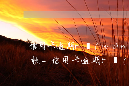 信用卡逾期5萬(wàn)以上該怎么樣還款-信用卡逾期5萬(wàn)以上該怎么樣還款呢