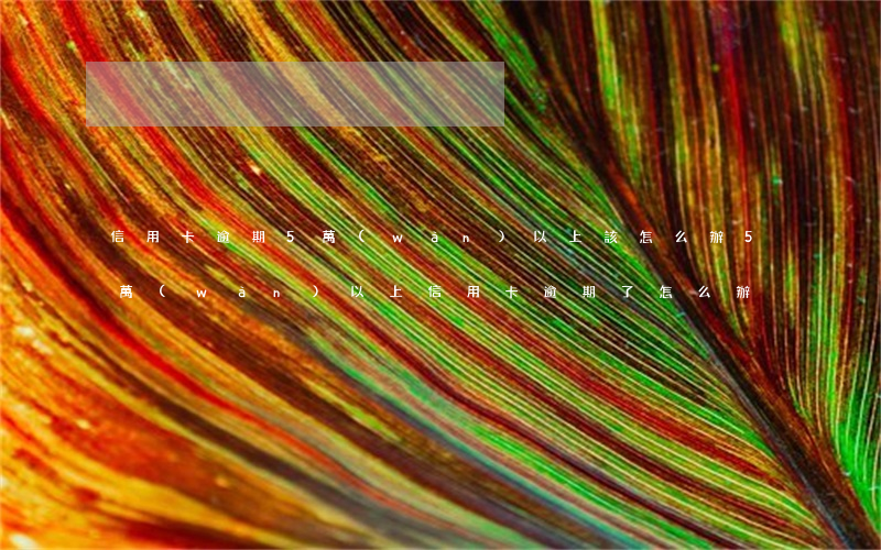 信用卡逾期5萬(wàn)以上該怎么辦(5萬(wàn)以上信用卡逾期了怎么辦)