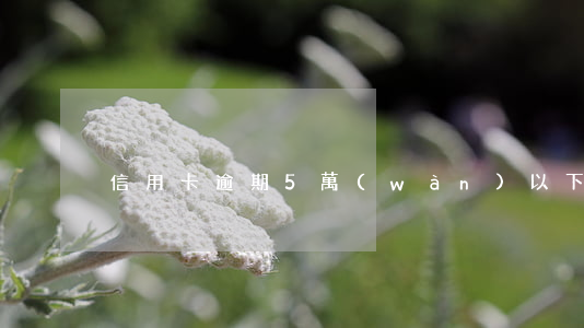 信用卡逾期5萬(wàn)以下拘留嗎