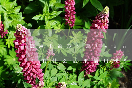 信用卡逾期5萬(wàn)以下會(huì)有什么后果(信用卡5萬(wàn)以上逾期會(huì)坐牢嗎)