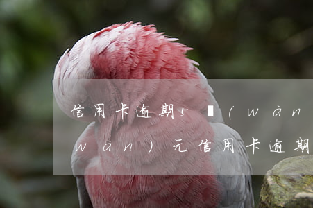 信用卡逾期5萬(wàn)利息多少 五萬(wàn)元信用卡逾期利息是多少