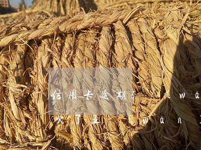 信用卡逾期5萬(wàn)怎么還款(信用卡欠了五萬(wàn)逾期了怎么辦)