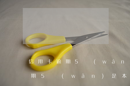 信用卡逾期5萬(wàn)指的是本息嗎(逾期5萬(wàn)是本金)