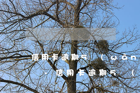 信用卡逾期5萬(wàn)每月還十元可以嗎-信用卡逾期5萬(wàn)每月還十元可以嗎知乎
