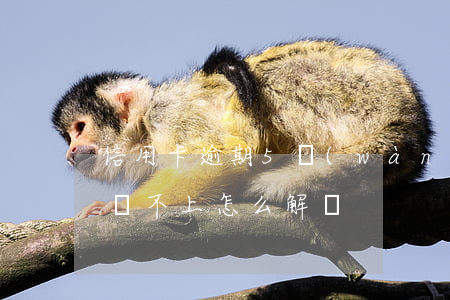 信用卡逾期5萬(wàn)確實(shí)還不上怎么解決