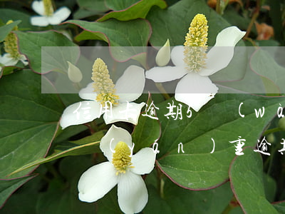 信用卡逾期5萬(wàn)能封房子(信用卡嚴(yán)重逾期封卡了怎么辦)