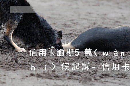 信用卡逾期5萬(wàn)銀行什么時(shí)候起訴-信用卡逾期5萬(wàn)銀行什么時(shí)候起訴的