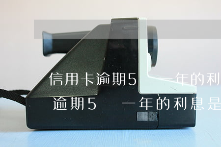 信用卡逾期5萬一年的利息是多少-信用卡逾期5萬一年的利息是多少錢