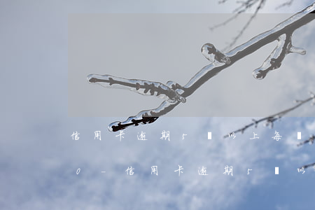 信用卡逾期5萬以上每個(gè)月還200-信用卡逾期5萬以上每個(gè)月還2000多