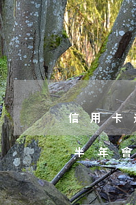 信用卡逾期5萬以上的后果(信用卡5萬逾期半年會坐牢嗎)
