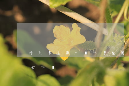 信用卡逾期5萬以下(信用卡逾期5萬以下會坐牢嗎)