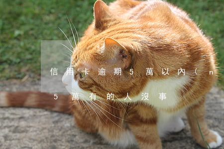 信用卡逾期5萬以內(nèi)(信用卡逾期5萬有的人沒事)