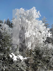信用卡逾期5萬兩年(信用卡5萬多逾期三個月)