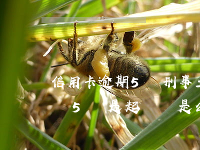 信用卡逾期5萬刑事立案(信用卡逾期金額超過5萬是起訴還是公安局刑事案件處理)