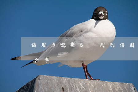 信用卡逾期5萬判刑(信用卡逾期5萬判刑多少年)
