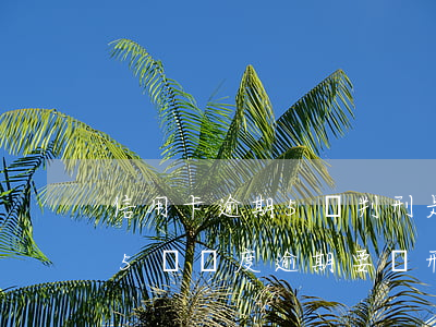 信用卡逾期5萬判刑是固定額度嗎-信用卡5萬額度逾期要負刑事責任嗎