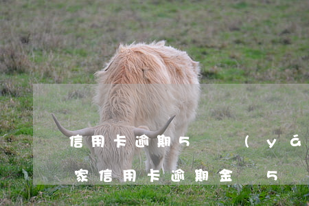 信用卡逾期5萬嚴(yán)重嗎(信用卡多家信用卡逾期金額5萬以上怎么辦)