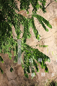 信用卡逾期5萬多久會被起訴(信用卡6萬多逾期多久銀行會起訴)