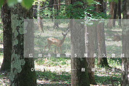 信用卡逾期5萬多久會被起訴嗎 欠信用卡50000一般逾期多久會立案